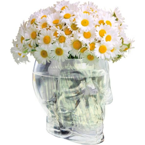 Skleněná váza lebka Skull