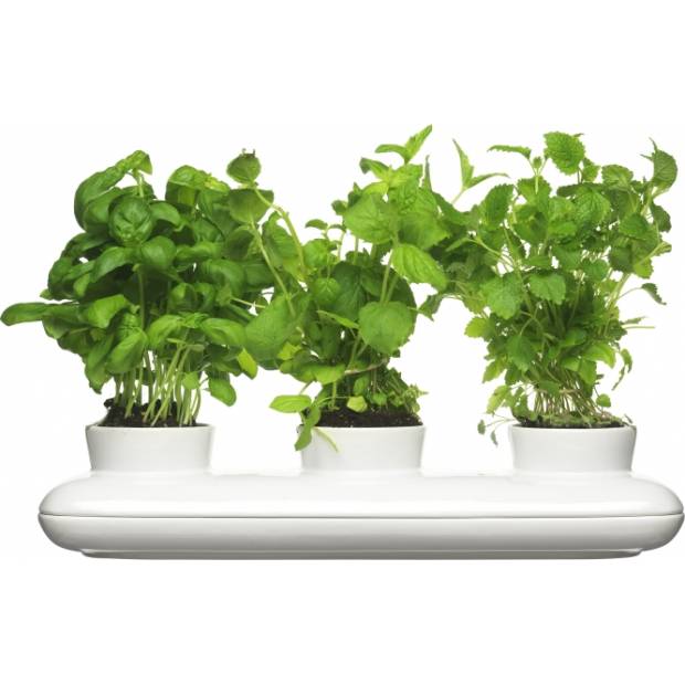 Květináč Herbs trio