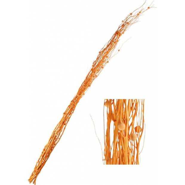 Přírodní materiál - větve, svazek 10ks SUS006-SV-ORANZOVA Art