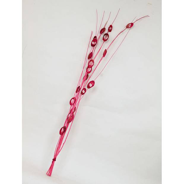 Svazek sušených větví, růžová SUS3112-CERVENA Art