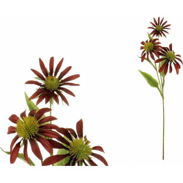 Echinacea, barva cihlová. UKK204-BRN Art