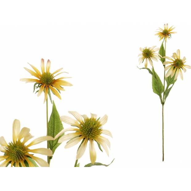 Echinacea, barva žlutá. UKK204-YEL Art