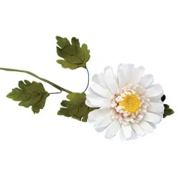 Sada vykrajovačov 7 ks - Chrysanthemum - PME - JEM