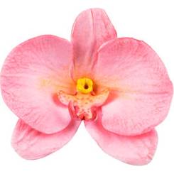 Forma na orchideu 92 × 60 mm