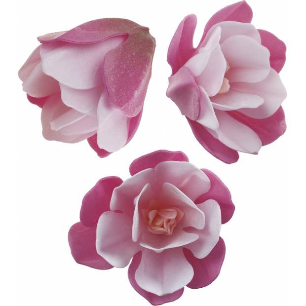 Jedlá kytka Magnolie z jedlého papíru 7cm 3ks - Dekora