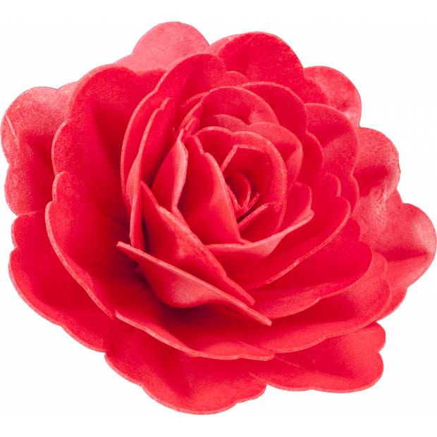 Jedlý cukrový kvet obrovskej ruže 12,5cm - Dekora