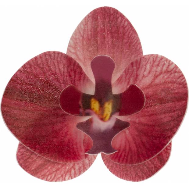 Kvety z jedlého papiera orchidea ružová 10ks - Dekora