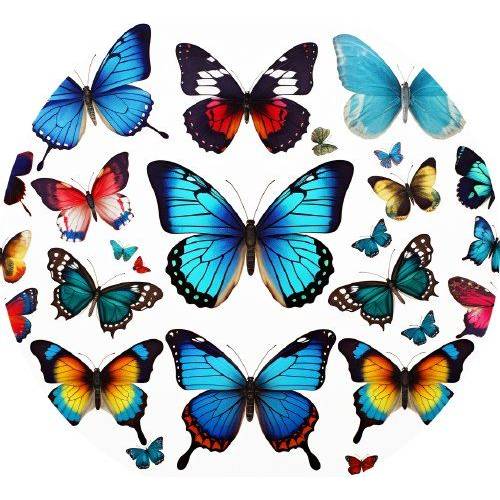 Motýli z jedlého papiera 19,5cm - PICTURE