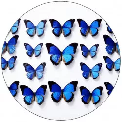 Jedlý papier modré motýle 19,5 cm - Pictu Hap