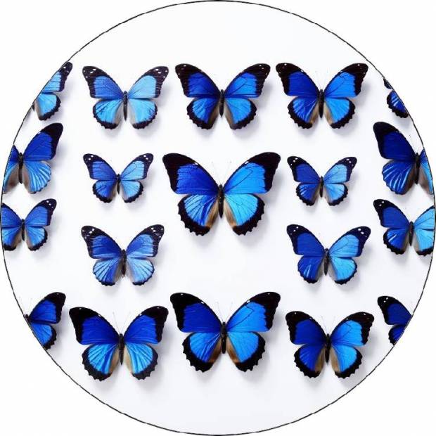 Jedlý papier modrí motýli 19,5cm - Pictu Hap
