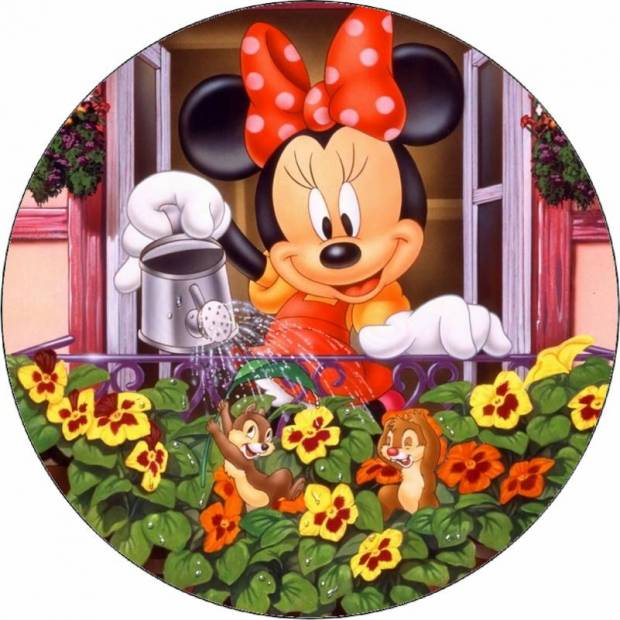 Minnie zalieva kvety 19,5 cm - Pictu Hap