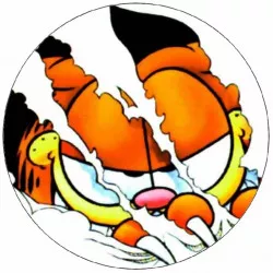 Jedlý papier potrhaný Garfield 19,5 cm - Pictu Hap