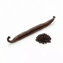 Vanilkový struk Bourbon – Gourmet 1 ks / Grade A (16 cm +) - I LOVE CAKES