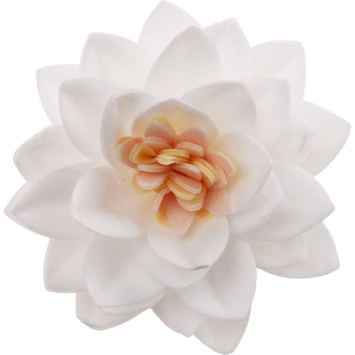 E-shop Jedlé cukrové květy 7cm 15ks bílé
