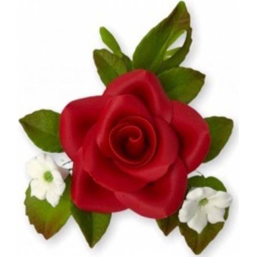 E-shop Cukrová růže